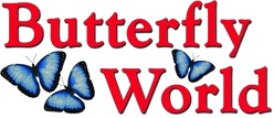  Butterfly World Promo Code