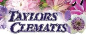  Taylors Clematis Promo Code