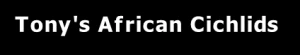  Tony'S African Cichlids Promo Code