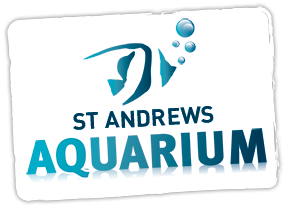  St Andrews Aquarium Promo Code