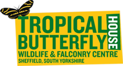  Tropical Butterfly House Promo Code