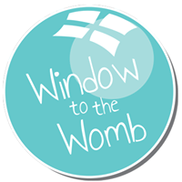  Window To The Womb Promo Code