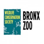  Bronx Zoo Promo Code