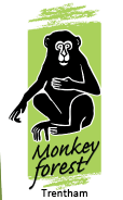  Trentham Monkey Forest Promo Code