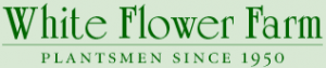  White Flower Farm Promo Code